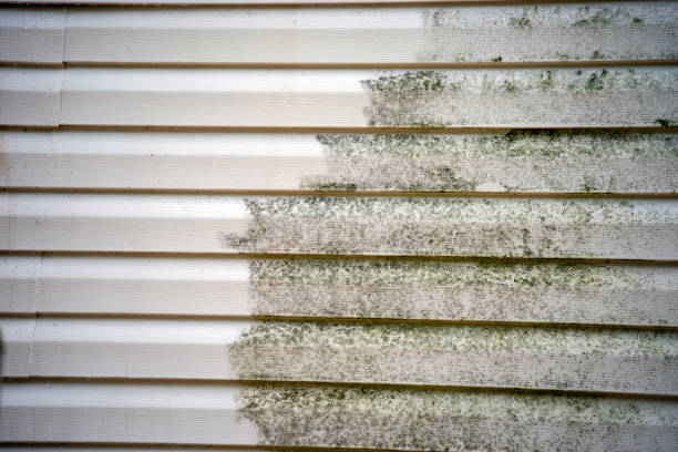 Siding for Commercial Buildings in South Gate, CA