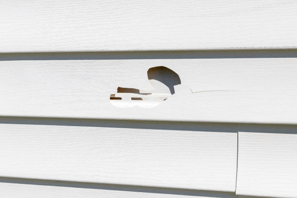 South Gate, CA Siding Installation Pros