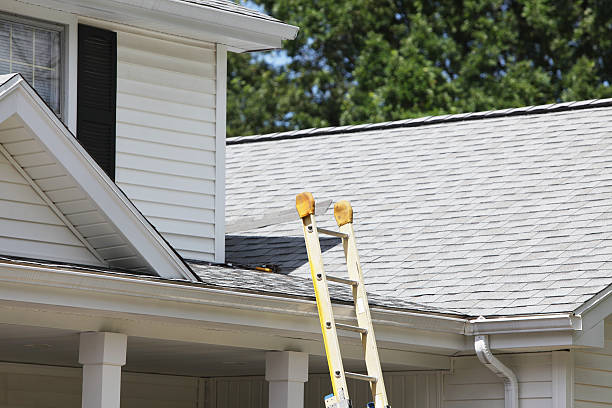 Best Siding for New Construction  in South Gate, CA