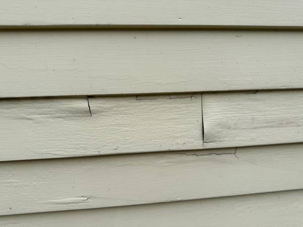 Best Historical Building Siding Restoration  in South Gate, CA